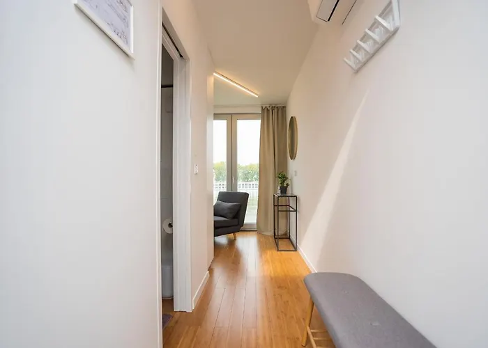 Sundeck - Party Boat